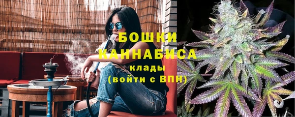 трава Арсеньев