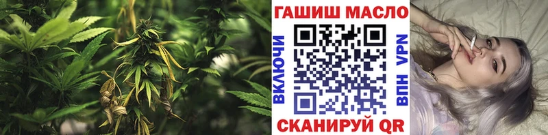 hydra ссылка  Долгопрудный  Дистиллят ТГК THC oil 