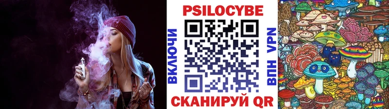 Псилоцибиновые грибы GOLDEN TEACHER  Долгопрудный 