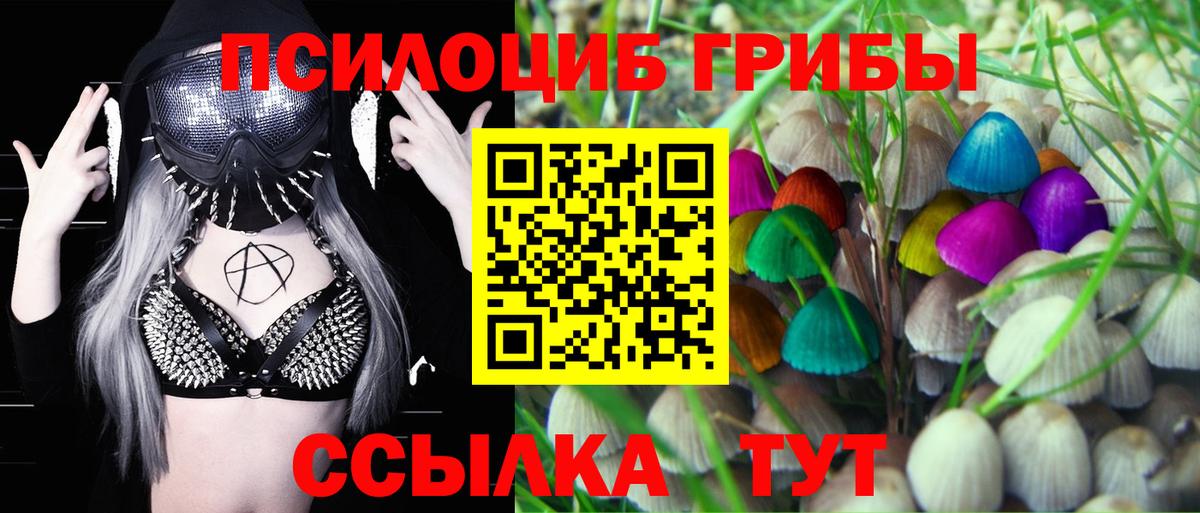 Галлюциногенные грибы прущие грибы Долгопрудный